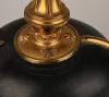 Mecklenburg Schwerin Infantry Officer Pickelhaube Visuel 6